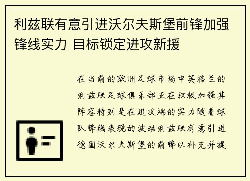 利兹联有意引进沃尔夫斯堡前锋加强锋线实力 目标锁定进攻新援